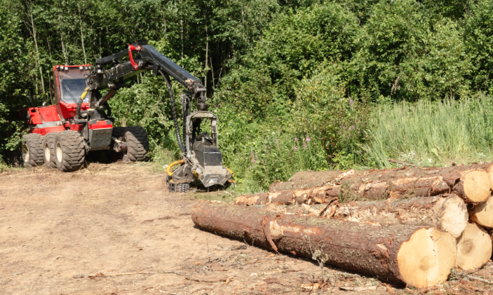 Agriculture and Forestry