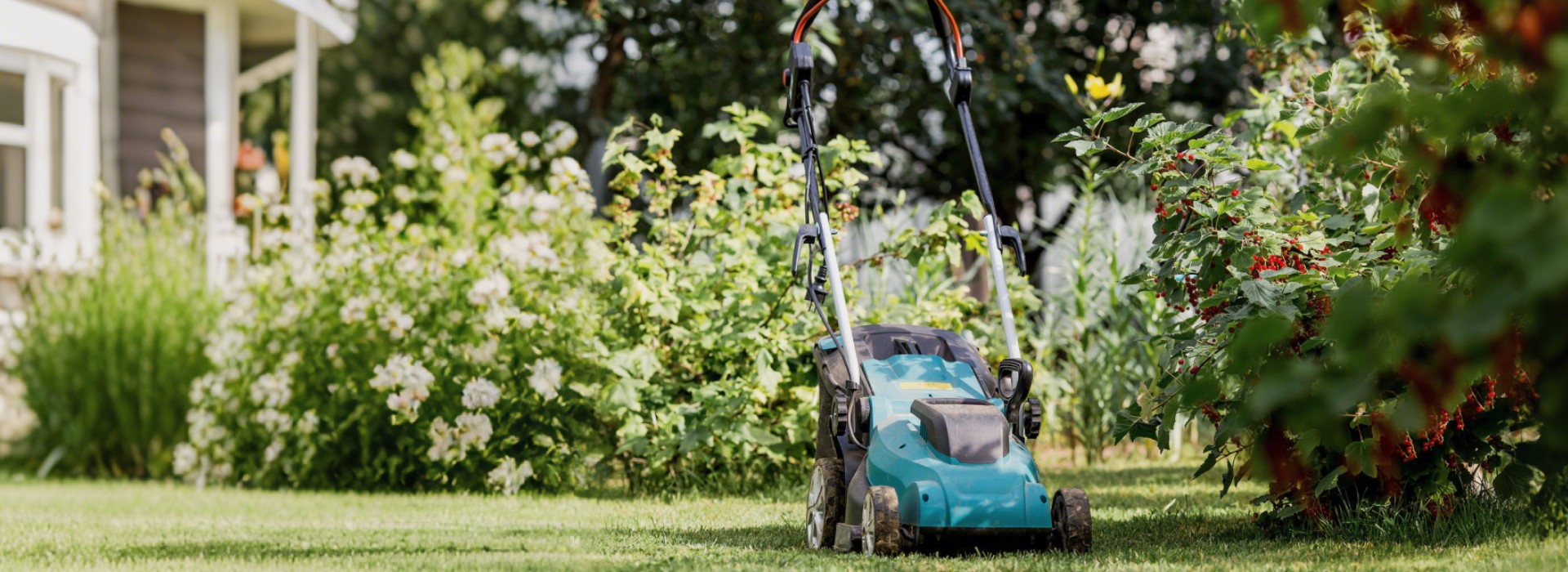 Lawn Care Machinery