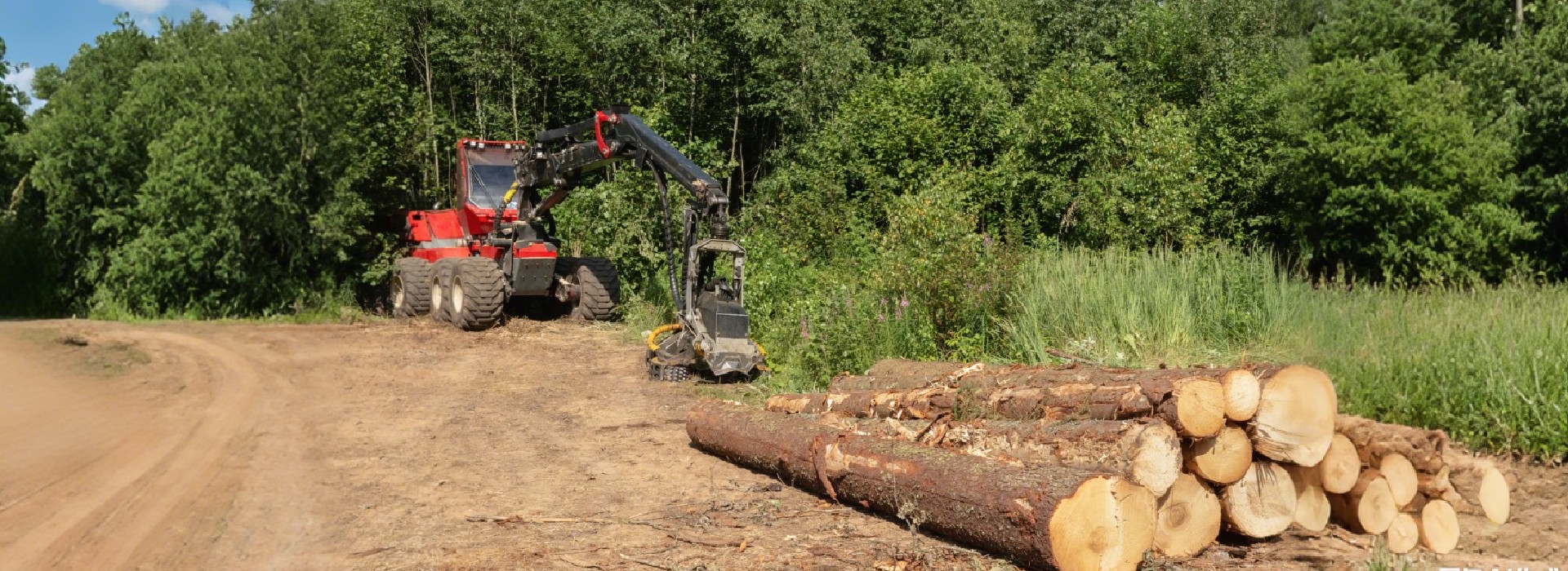 Agriculture and Forestry