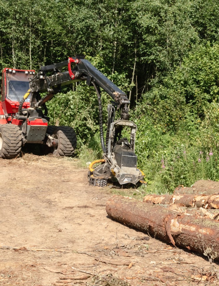 Agriculture and Forestry