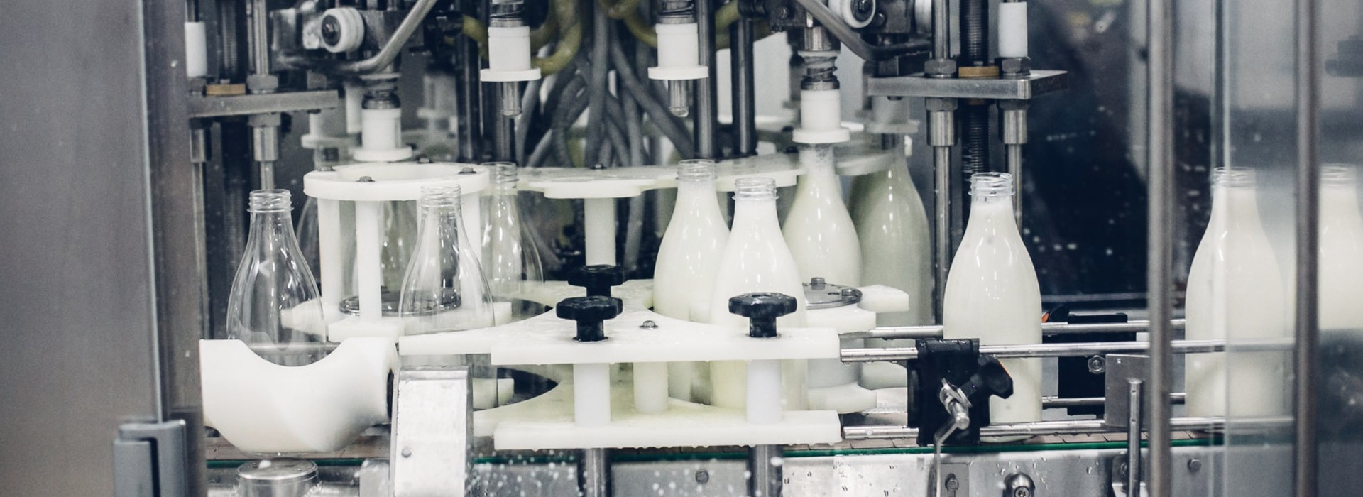 Dairy Products