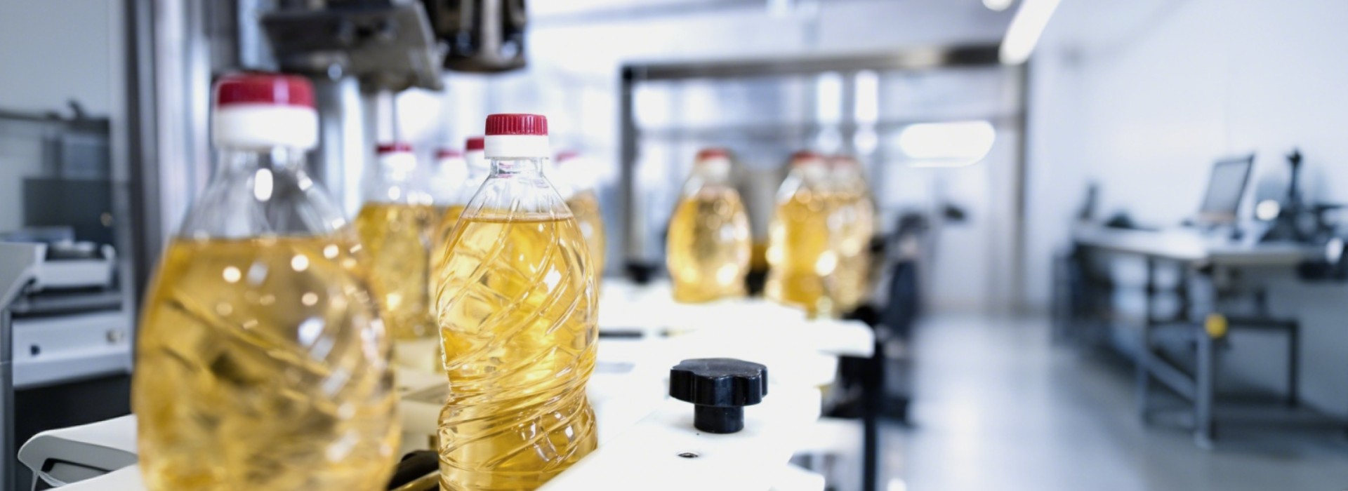 Edible Oil